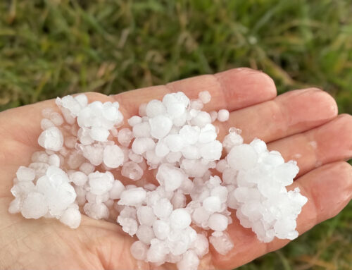 Granizada